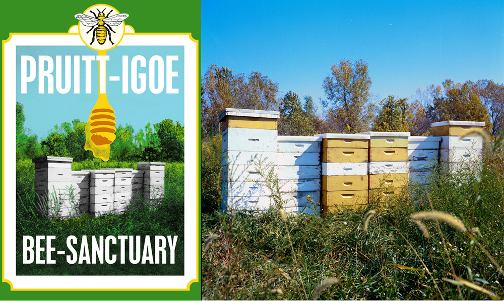  Juan William Chavez, Pruitt-Igoe Bee Sanctuary: Living Proposal, 2012