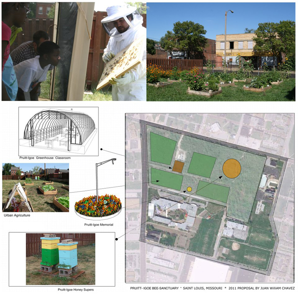  Juan William Chavez, Pruitt-Igoe Bee Sanctuary: Living Proposal, 2012