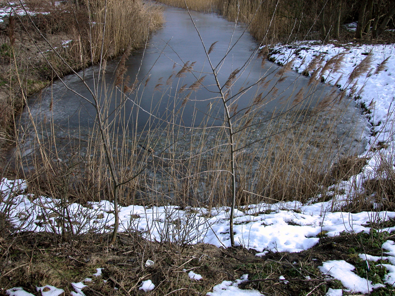 Krijn Giezen, Haagse Beek. Photo Stroom Den Haag